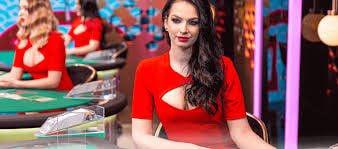 bggbet con